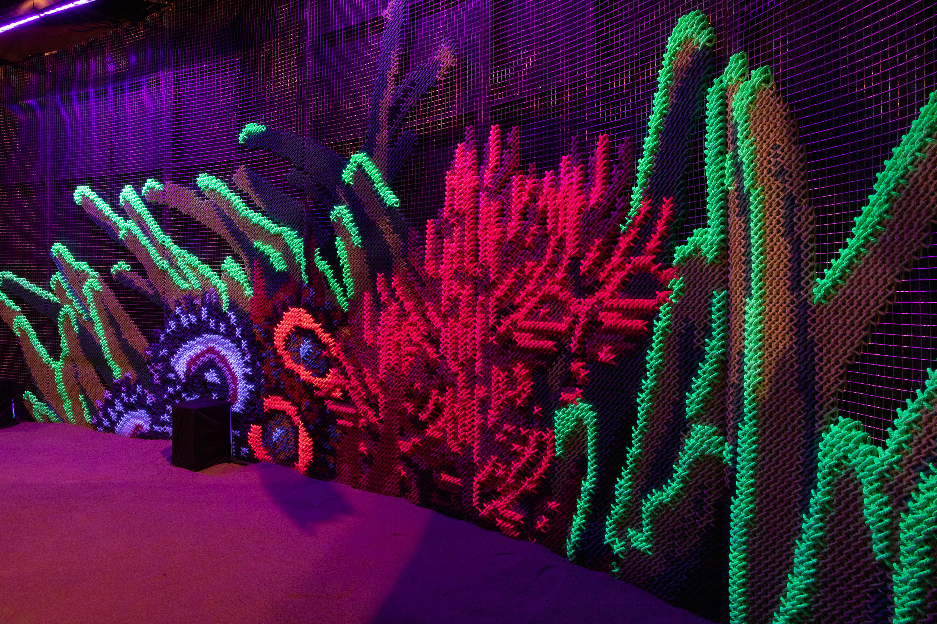 Efluenow — fluorescent corals glowing under black light
